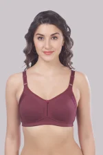 Double Layered Cups Seamless Bra | M 4414 Pack of 2 | K.WINE DUSTY ROSE - Image 3